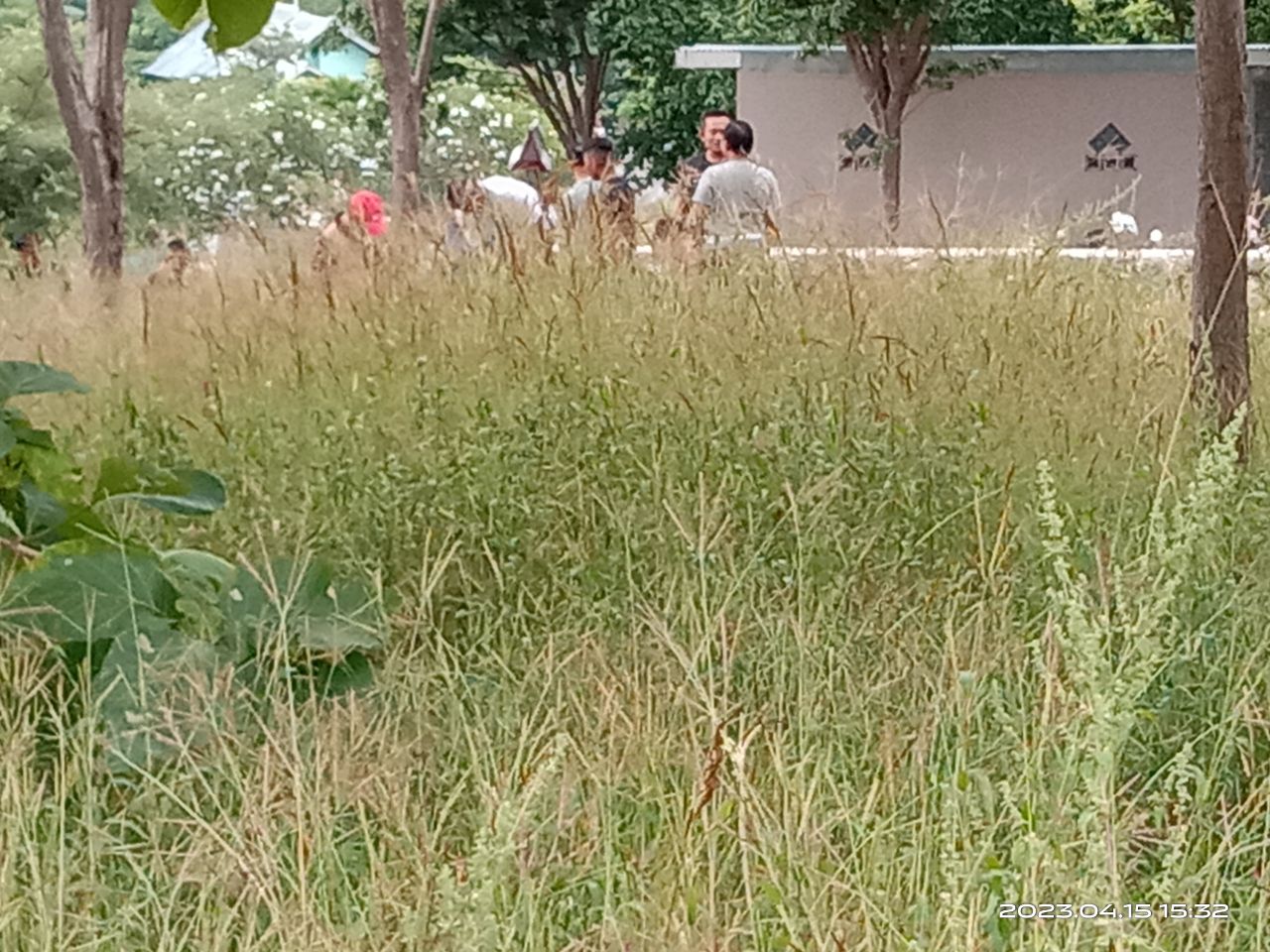 Ngayah7