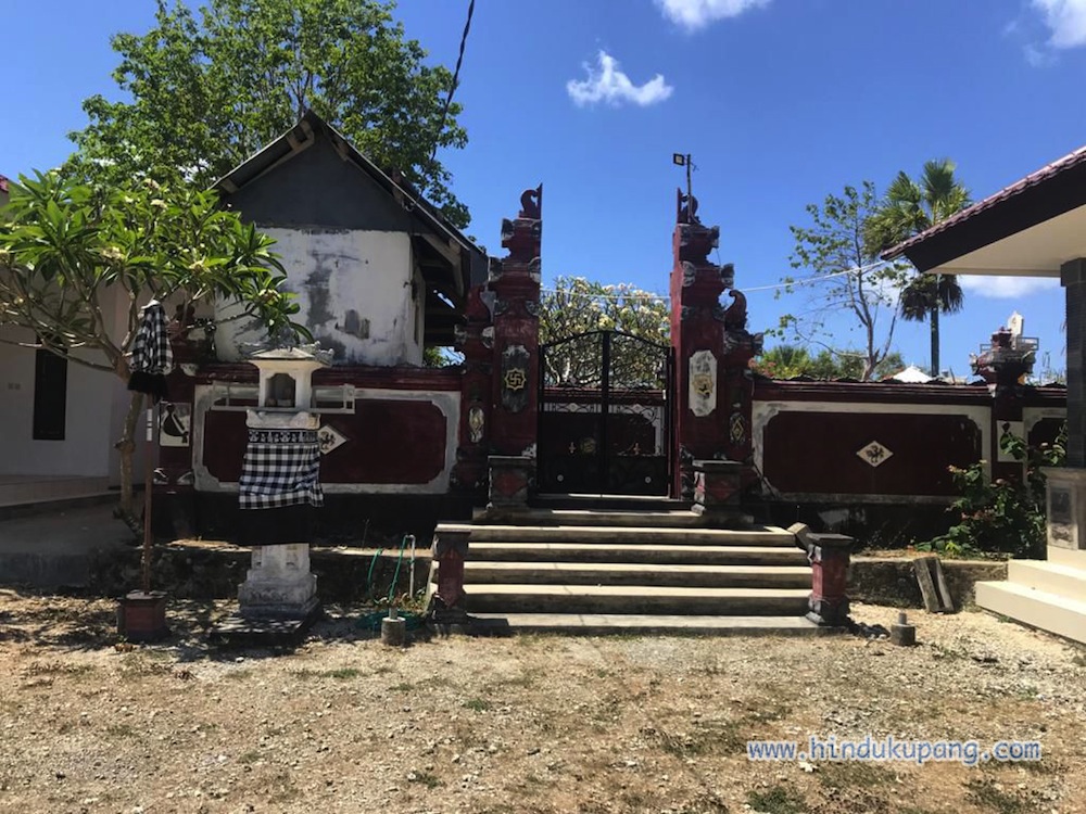 Pura Rote11