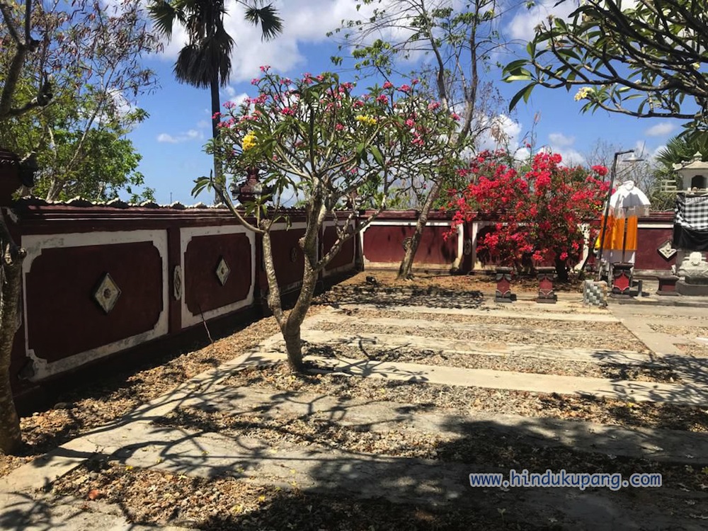 Pura Rote14