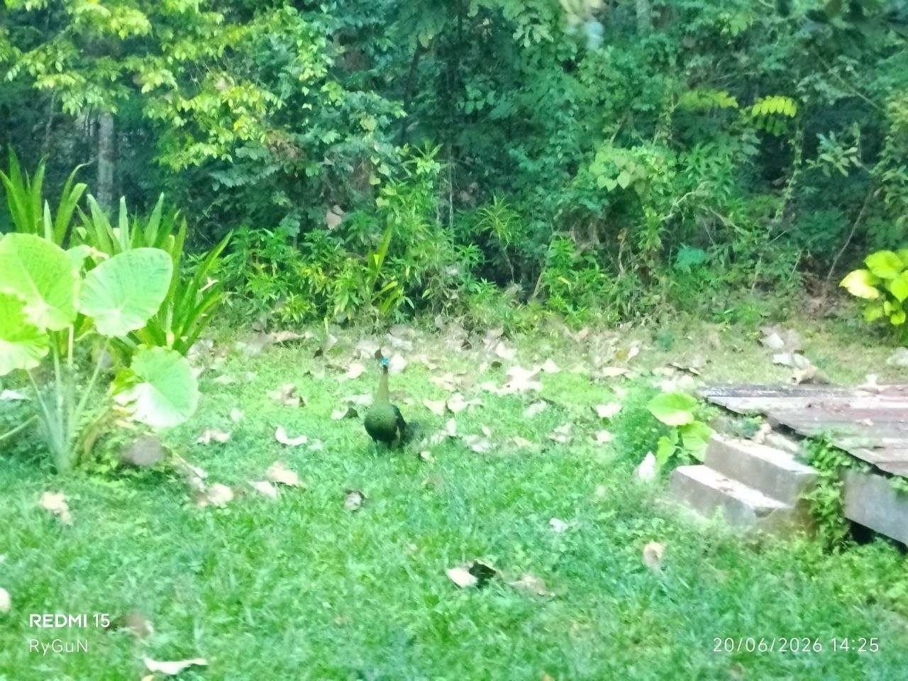 6181485514624537114